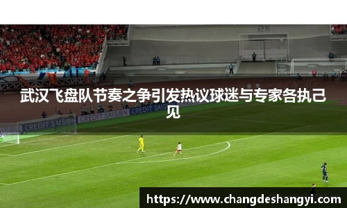 武汉飞盘队节奏之争引发热议球迷与专家各执己见