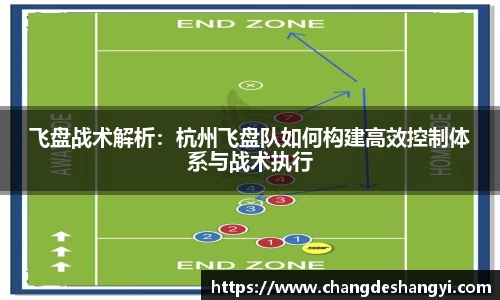 飞盘战术解析：杭州飞盘队如何构建高效控制体系与战术执行